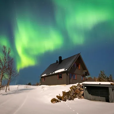 Bestefarhaugen - The Cozy House On The Hill & Dome * Bo (Nordland)